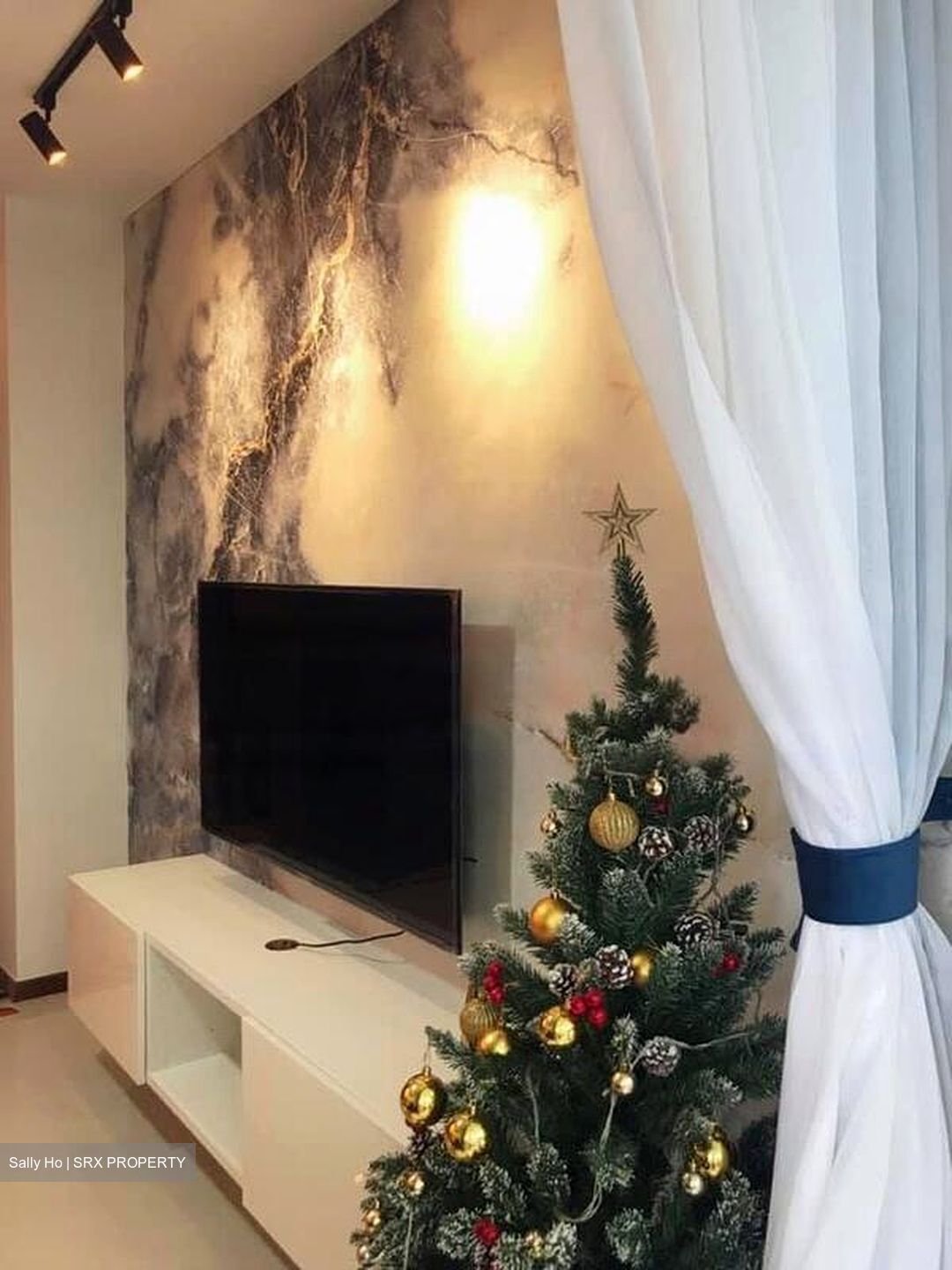 Treasure Crest (D19), Condominium #465302521